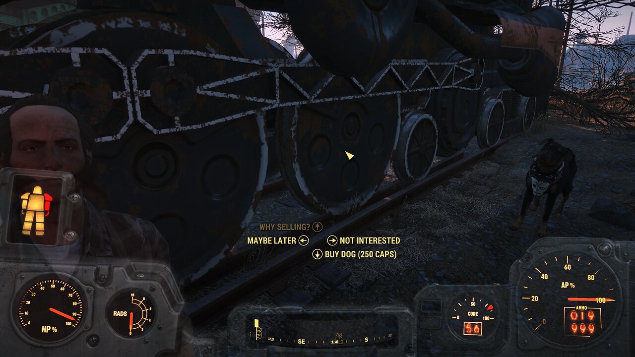 I adopt ANOTHER dog!! (Fallout 4)