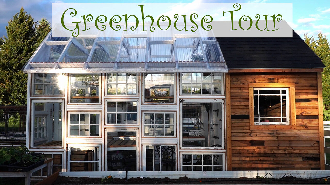 Reclaimed Window Greenhouse Tour