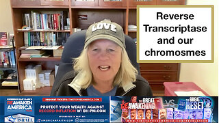 Reverse Transcriptase and our chromosmes