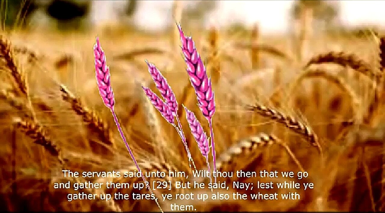 BIND HIM HAND AND FOOT - ARE THE TARES BEING REMOVED BY THE JAB ☠️