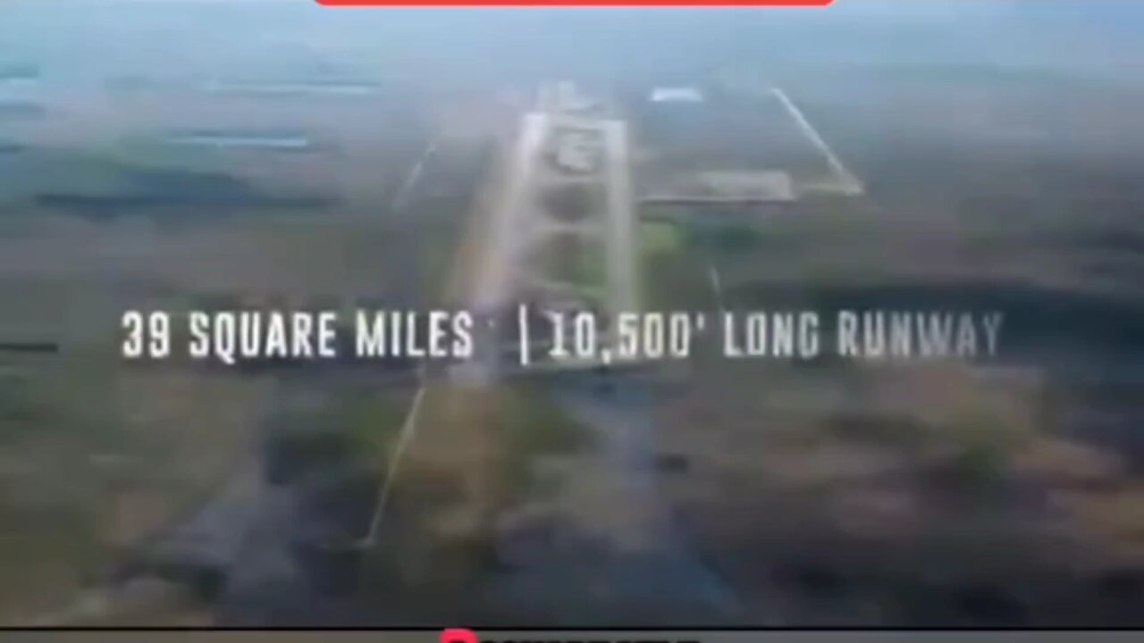 Is using alligators as a natural security system for ICE detainees genius or inhumane?