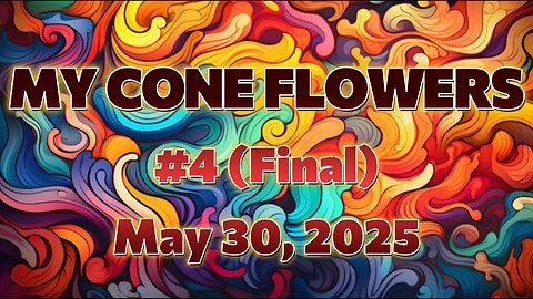 MY CONE FLOWERS #4 (FINAL)