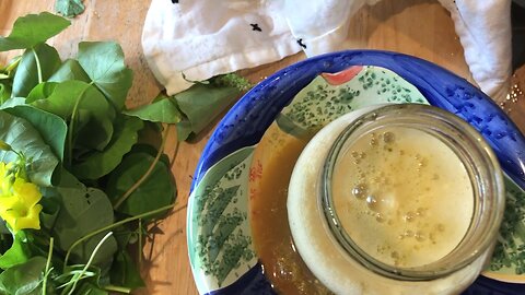 Craig Lane Health Alkemy - When Is My Probiotic Soda Ready? SUPER FUN DEMO