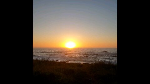 Get down to earth. See the real world with me in Fort Bragg California at Hidden Pines RV by the Sea