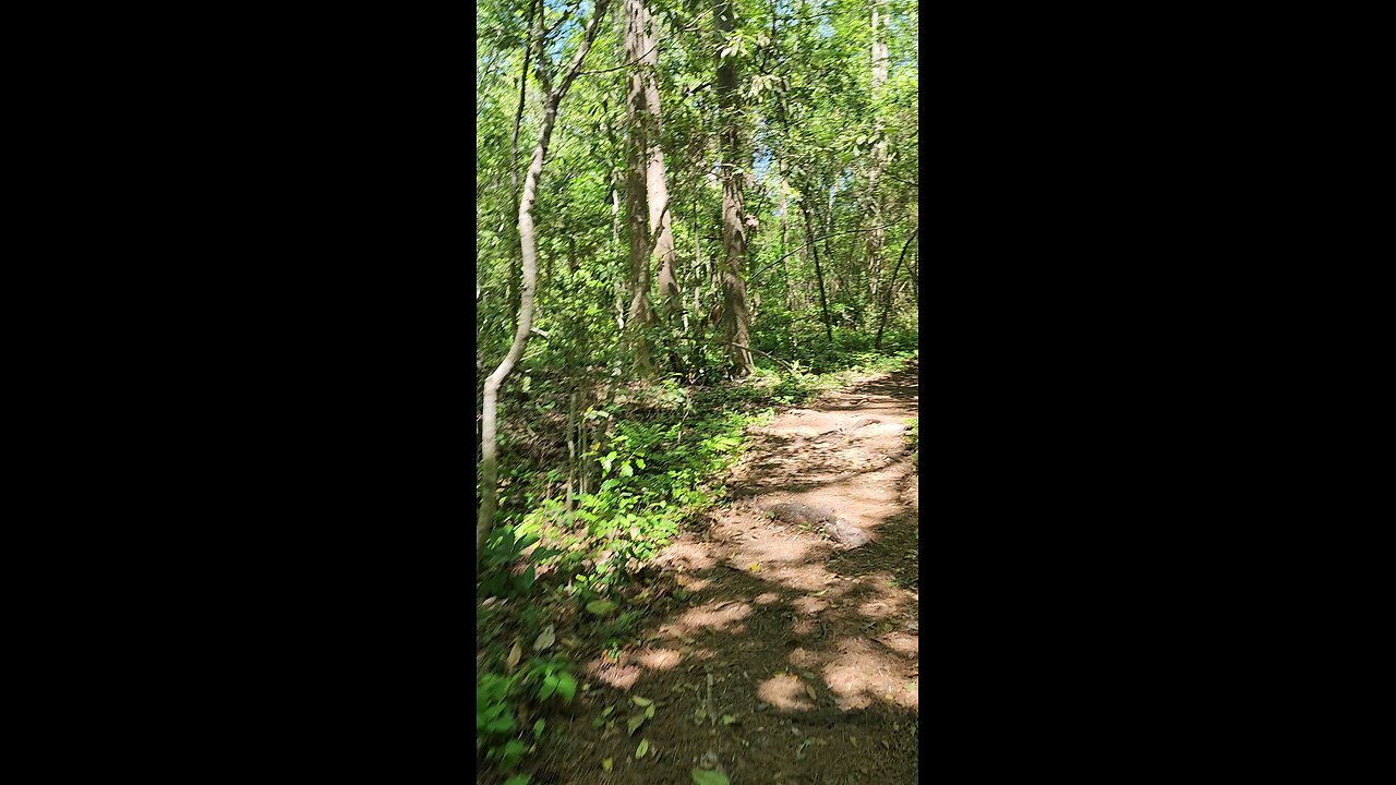 The 👀✨️great awakening 202 Humanity will never be the same🫡💪