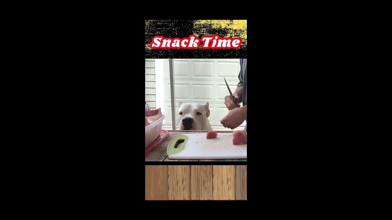 Snack Time