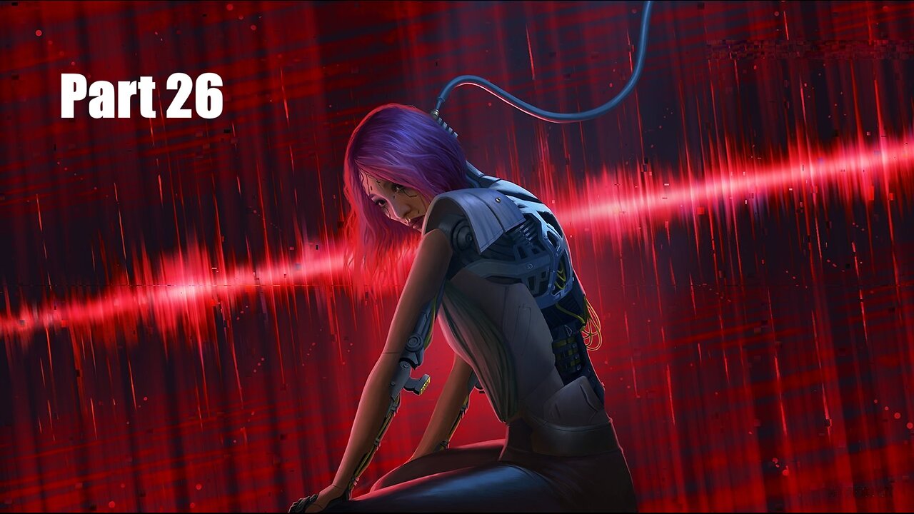 Entering dogtown with the help of Songbird / Cyberpunk 2077 / Part 26