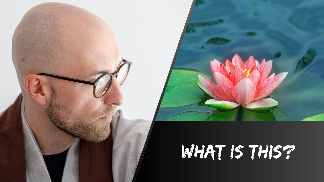 A Zen Perspective on the 4 Foundations of Mindfulness