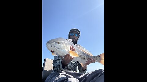 Awesome Redfish Bite On Top Water!