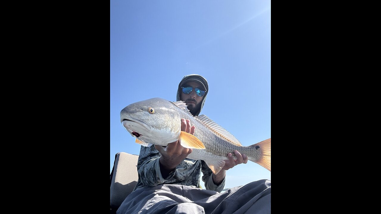 Awesome Redfish Bite On Top Water!