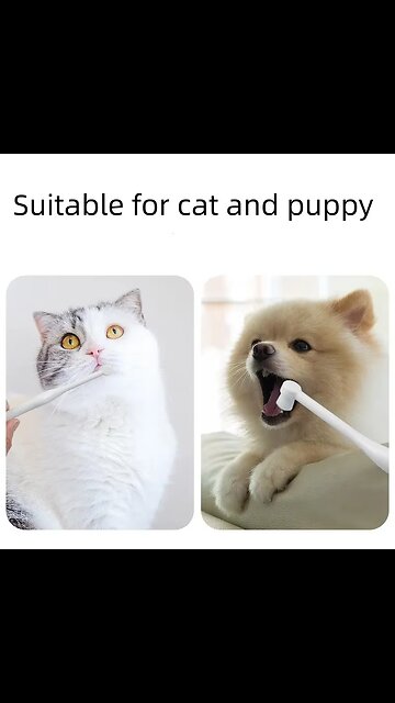 ound Head Pet Toothbrush Remove Bad Breath Tartar Teeth Care