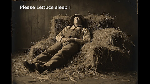 Please Lettuce sleep (Stardew Valley)