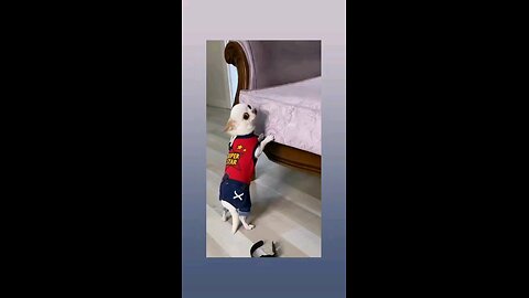 मेरी माला चुराई है