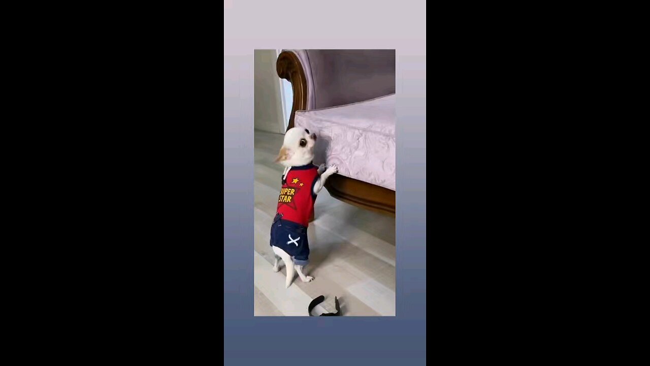 मेरी माला चुराई है