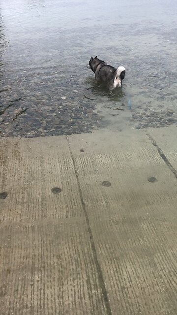 Friday September 19, The time has come for the son of man to enter into his glory.