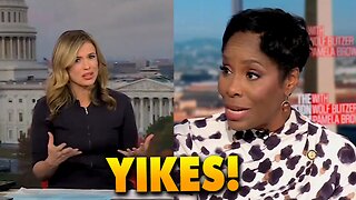 BRUTAL SELF-OWN as Stacey Plaskett digs hole EVEN DEEPER over her ties to Epstein