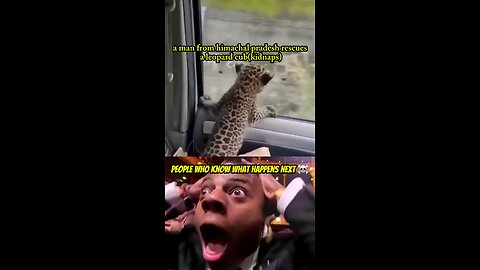 lol😂