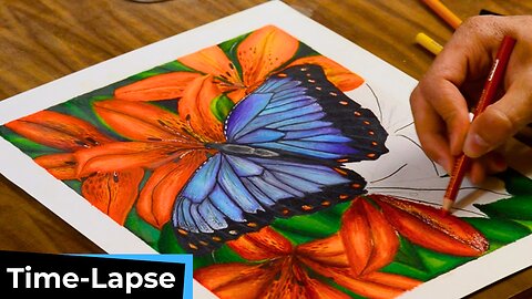 COLORED PENCIL BUTTERFLY DRAWING ASMR | ATLArtStudio