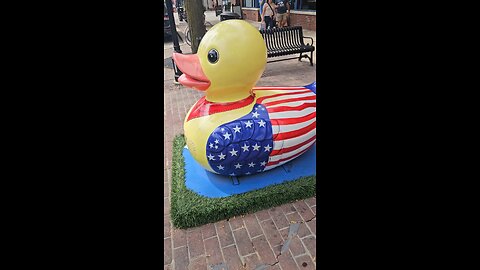 Naperville Ducks 7