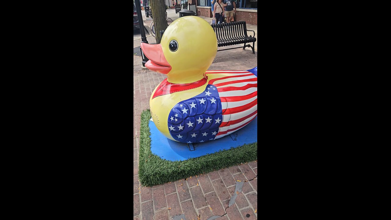 Naperville Ducks 7
