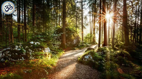 Relaxing Music with Nature Sounds, Forest Music, Sleep Music, Meditation Music