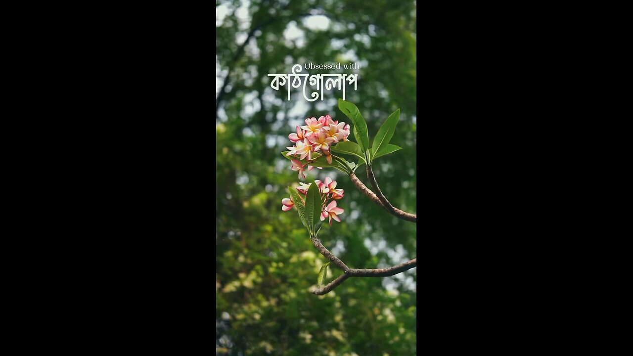 beauty of flower 🥰🥰🪷#nature