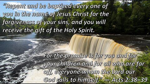 13th Sunday after Pentecost | Luther's Small Catechism: The Nature of Baptism
