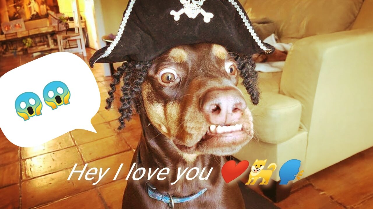 I love you 🐶Dog say 😱😱🐶🐕
