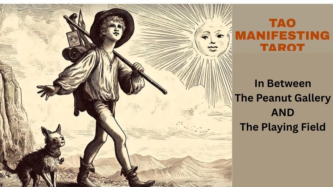 PEANUT GALLERY & PLAYING FIELD