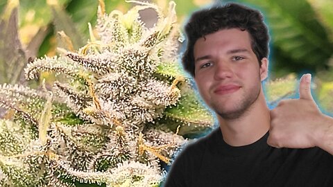 How Microbs Help Your Plants