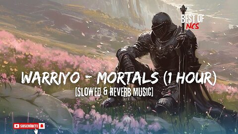 warriyo - Mortals Best of NCS Music Remix slowed and Reverb Music