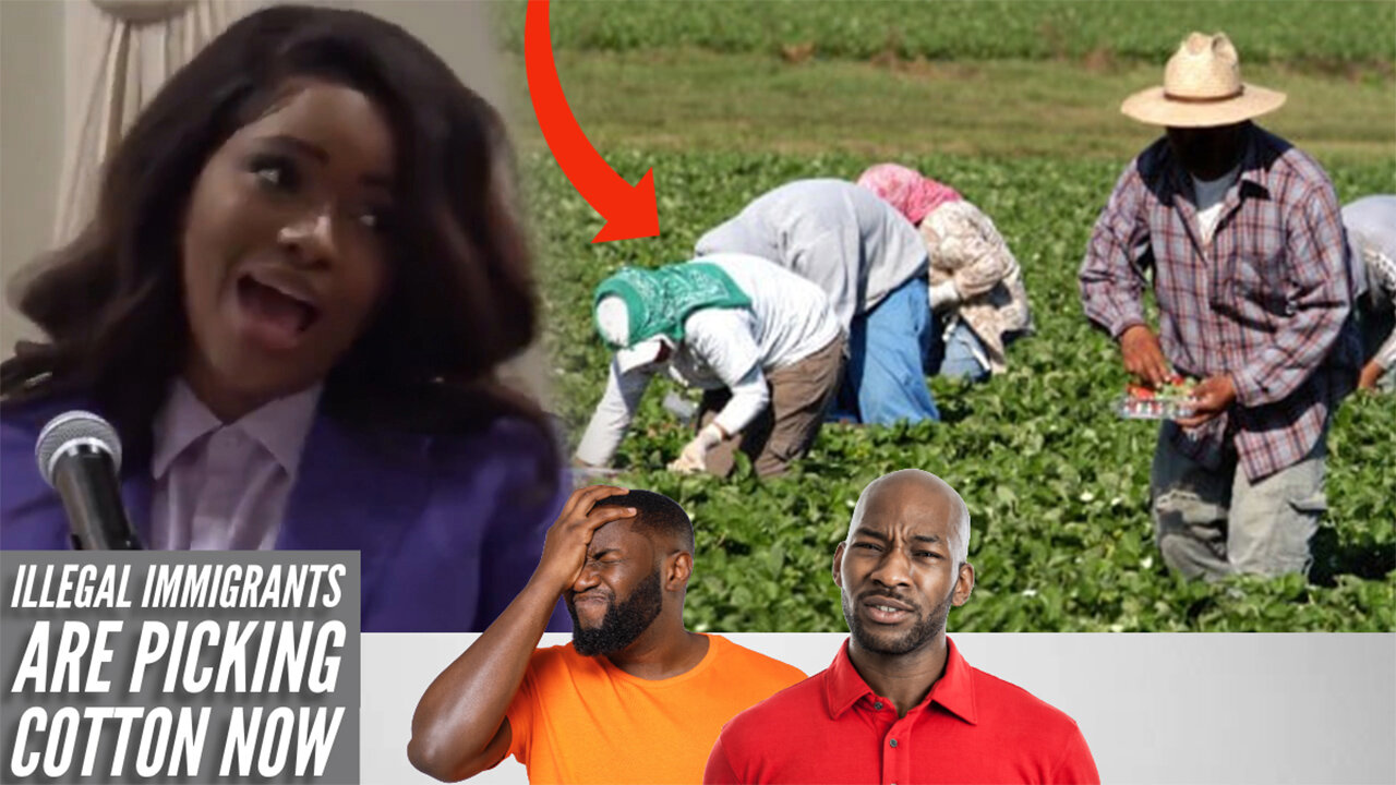 ILLEGAL IMMIGRANTS PICK COTTON NOW? Jasmine Crockett RETURNS With Outrageous Statement