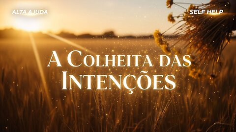 A Colheita das Intenções