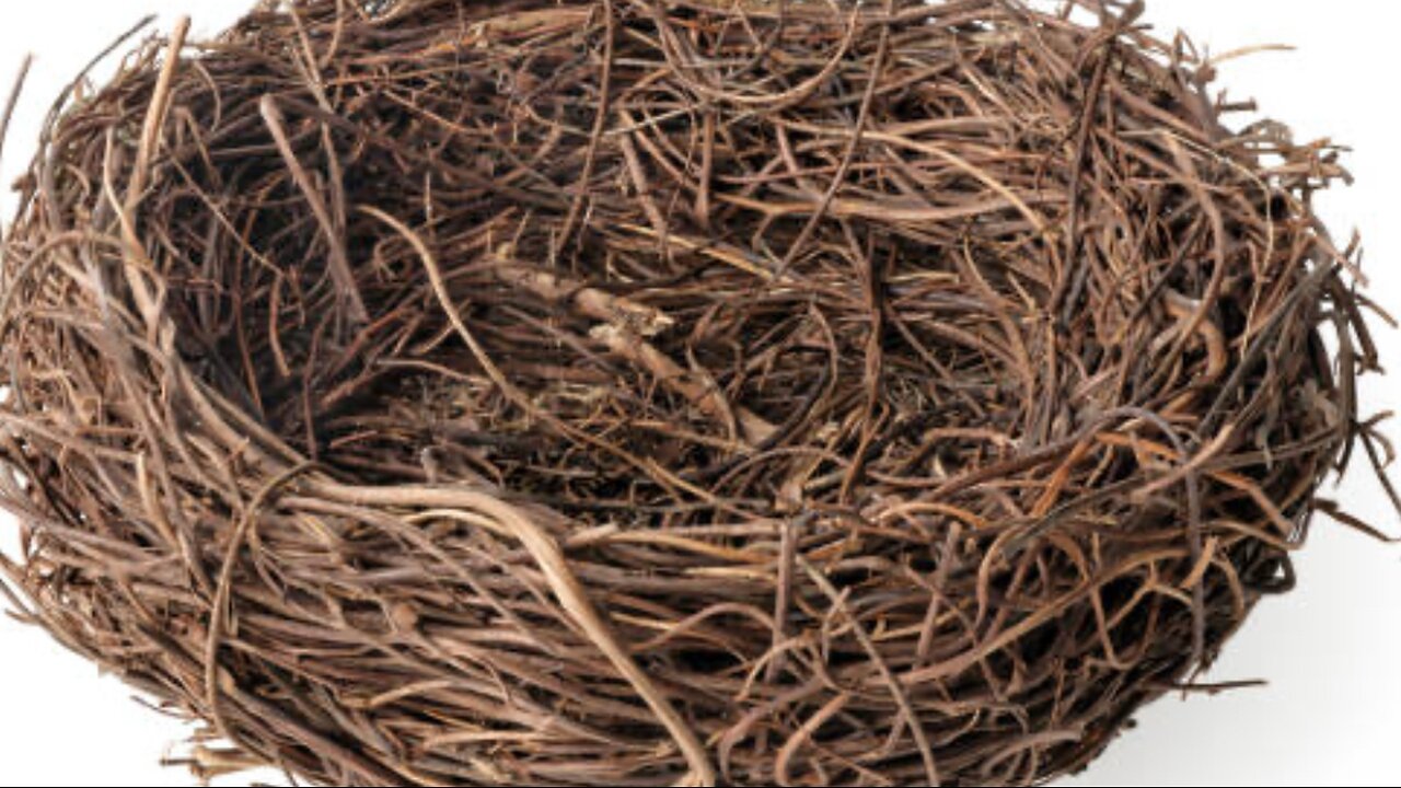 Nothing is happening