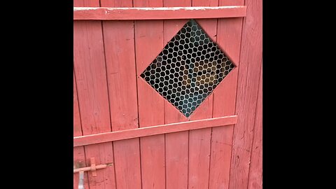 comment faire sa peinture suédoise maison , part1