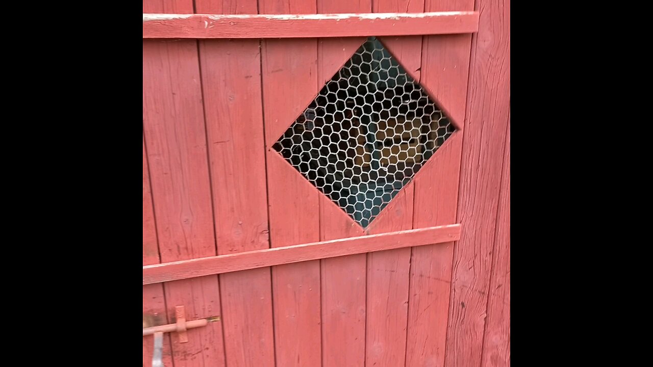comment faire sa peinture suédoise maison , part1