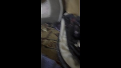This demon ass dog