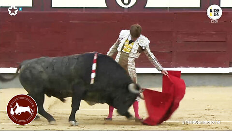 Borja Jiménez, segundo toro, Corrida In Memoriam de Victorino Martín, Madrid 15-06-2025