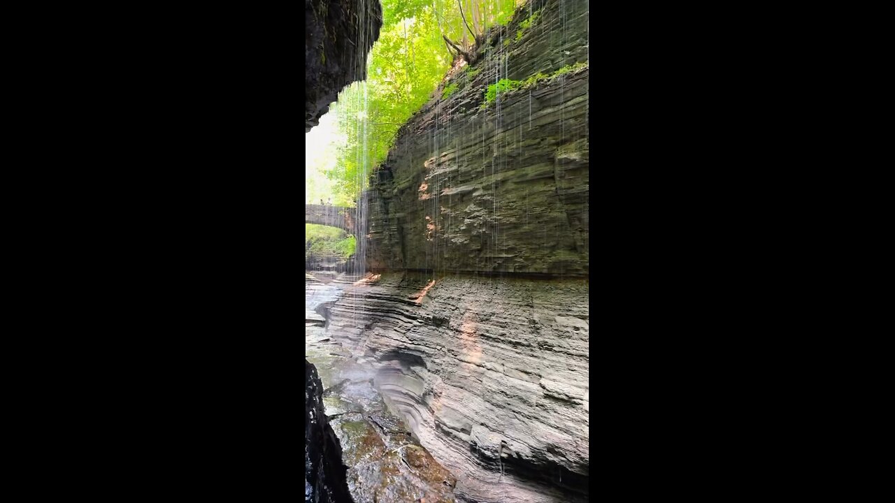 SCI-FI NATURE