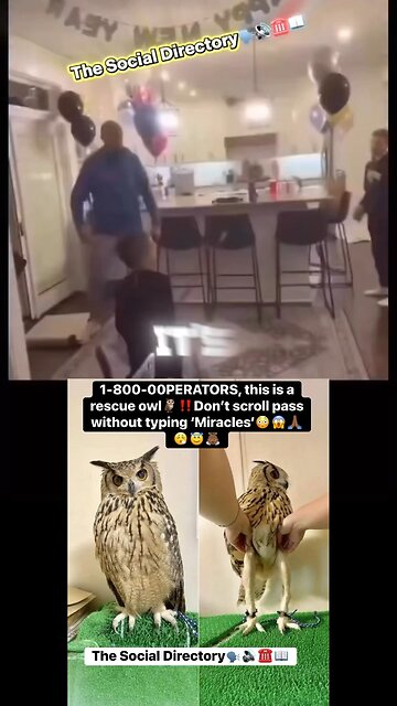 🗣️☎️DIALING INNN‼️📖 1-800-0PERAT0RS, this is a dysfunctional family.🥺