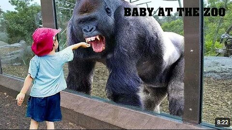 TRY NOT TO LAUGH | Funny Babies At The Zoo - LAUGH TRIGGER
