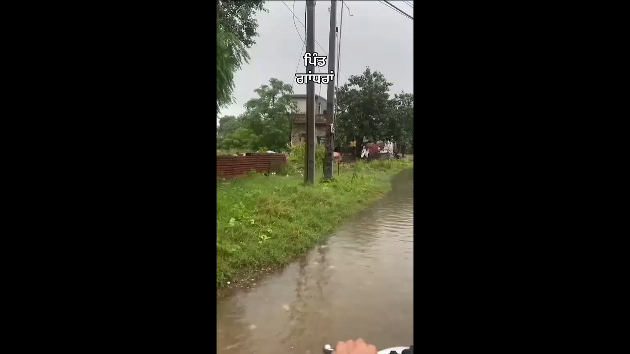 after rain