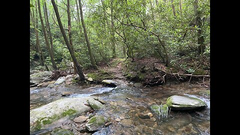 Let The Brookies Be