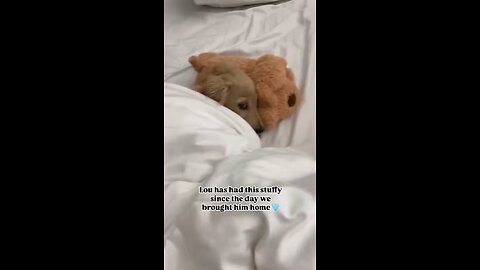 Lou loves his new stuffy