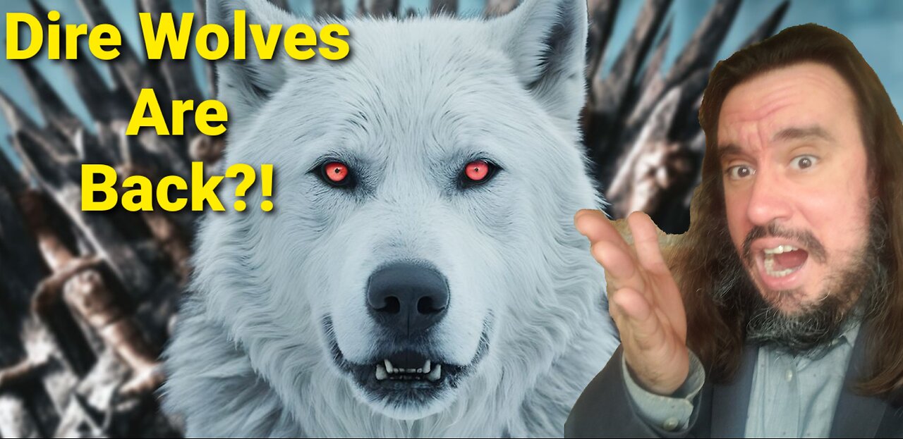Dire Wolves Brought Back, What Happens Now