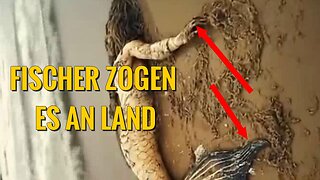 Du wirst nicht glauben was Fischer da an Bord zogen
