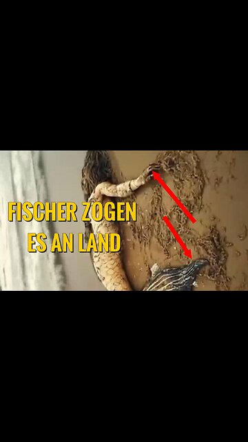 Du wirst nicht glauben was Fischer da an Bord zogen