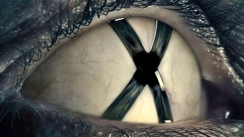 DO YOU HAVE AN OPERATING SYSTEM INSIDE YOU
