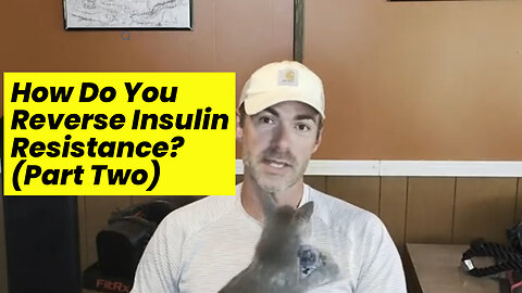 How Do You Reverse Insulin Resistance (Part Two)