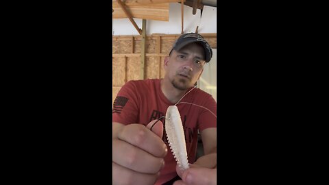 How to catch fish beginner series. Part 5